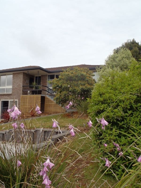 8 Mooreville Road, Park Grove TAS 7320, Park Grove - Image 1