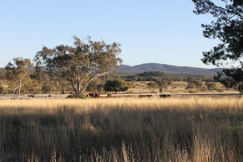 Hallmark Farm 61L Lagoon Creek Road, Dubbo NSW 2830, Dubbo - Thumbnail 4