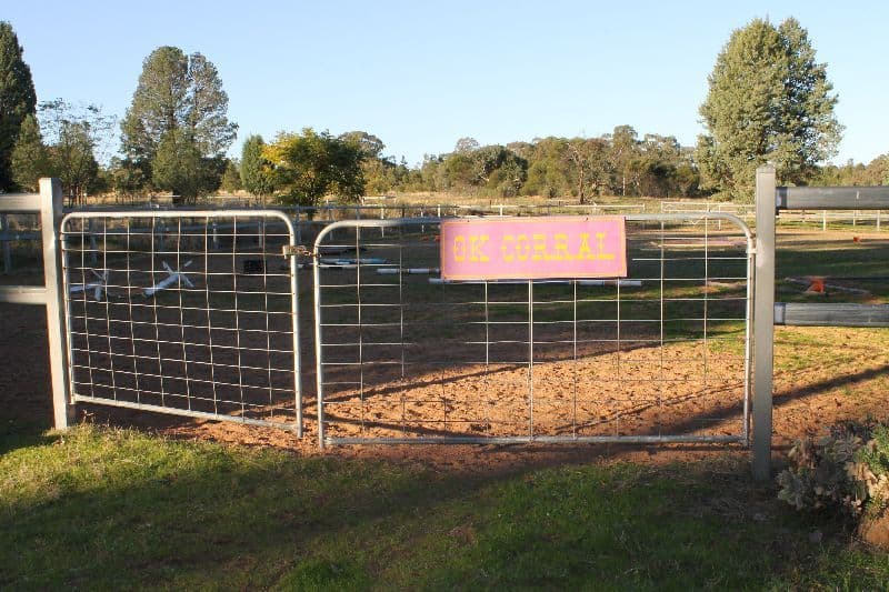 Hallmark Farm 61L Lagoon Creek Road, Dubbo NSW 2830, Dubbo - Thumbnail 6