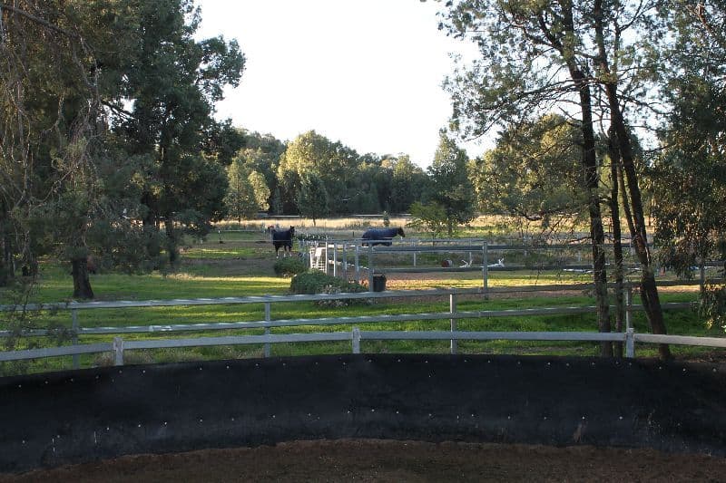 Hallmark Farm 61L Lagoon Creek Road, Dubbo NSW 2830, Dubbo - Thumbnail 8