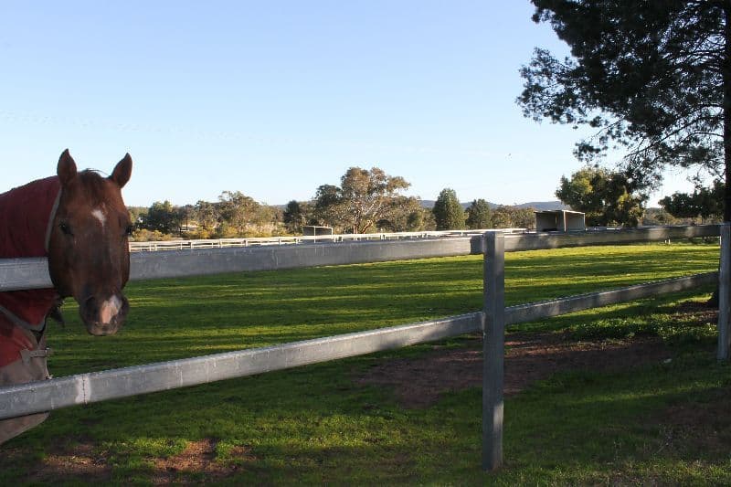Hallmark Farm 61L Lagoon Creek Road, Dubbo NSW 2830, Dubbo - Thumbnail 2