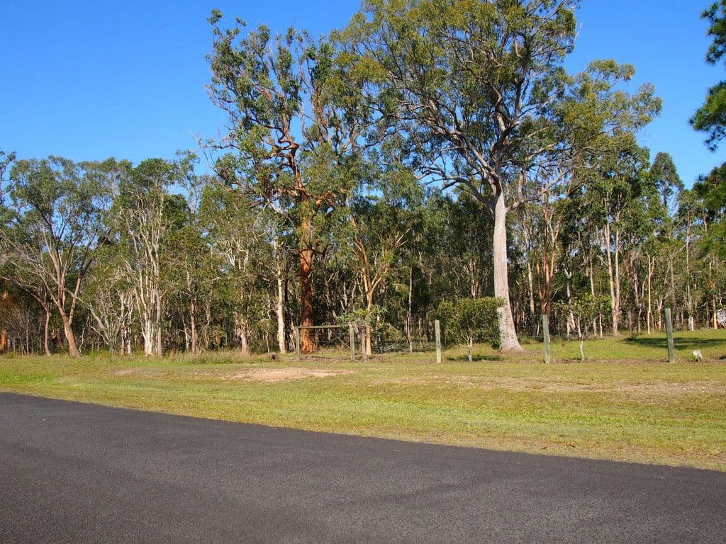 202 Condor Drive, Sunshine Acres QLD 4655, Sunshine Acres - Thumbnail 2