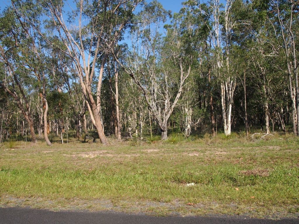 202 Condor Drive, Sunshine Acres QLD 4655, Sunshine Acres - Thumbnail 3