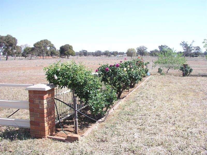 Lot 78 Warrah Street, Peak Hill NSW 2869, Peak Hill - Thumbnail 5
