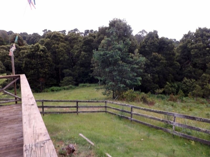 350 South Elliot Road, ELLIOTT TAS 7325, Elliott - Thumbnail 2