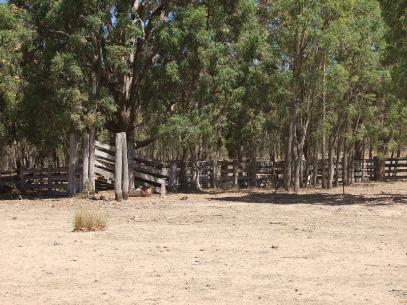 Narrawa 1464 Dandry Road, COONABARABRAN NSW 2357, Coonabarabran - Thumbnail 5