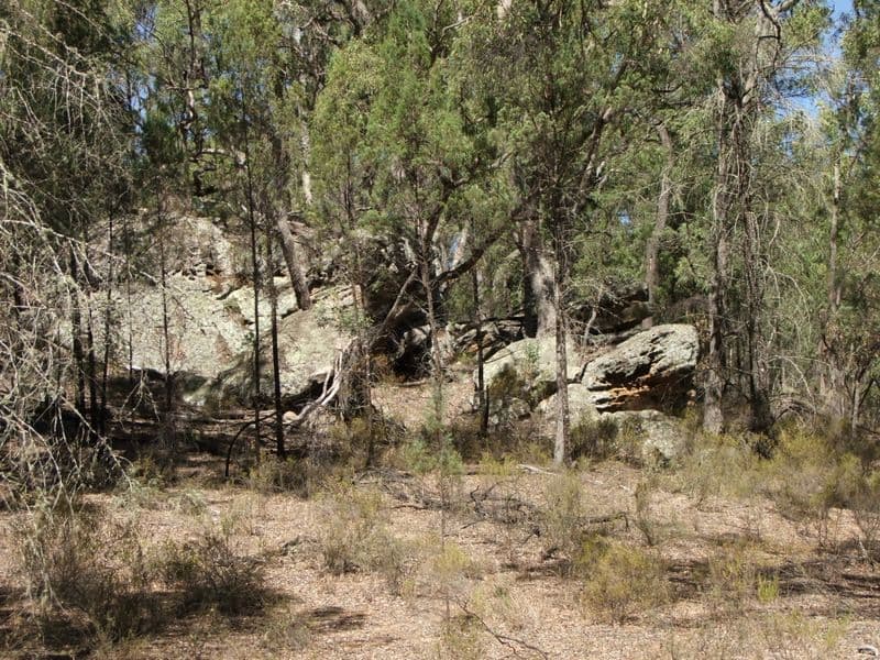Narrawa 1464 Dandry Road, COONABARABRAN NSW 2357, Coonabarabran - Thumbnail 7
