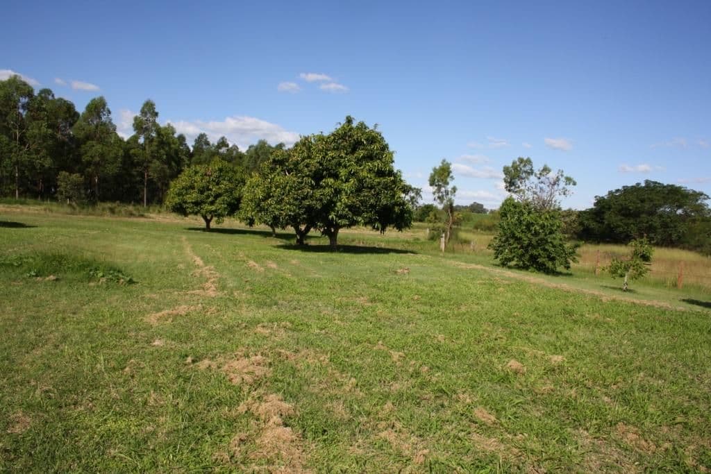 Gurgeena QLD 4626, Gurgeena - Thumbnail 4