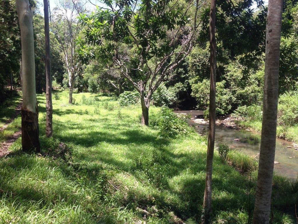 108 Costellos Road, Doon Doon NSW 2484, Doon Doon - Image 1