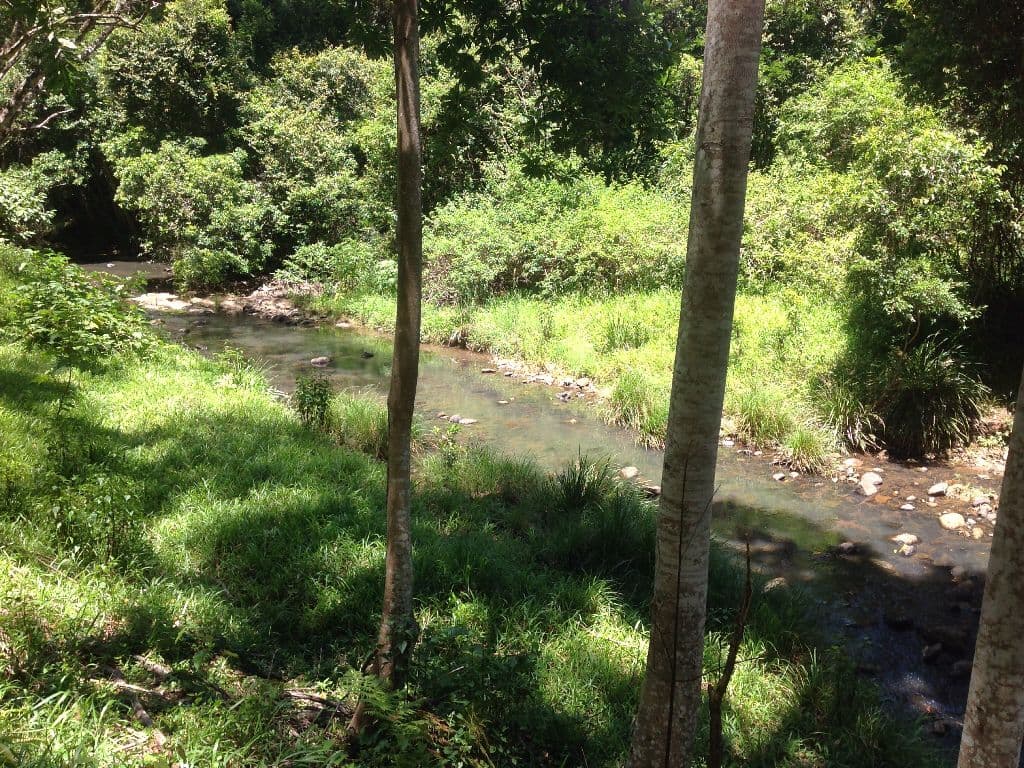 108 Costellos Road, Doon Doon NSW 2484, Doon Doon - Thumbnail 2