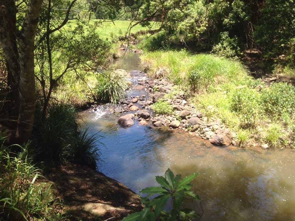 108 Costellos Road, Doon Doon NSW 2484, Doon Doon - Thumbnail 3