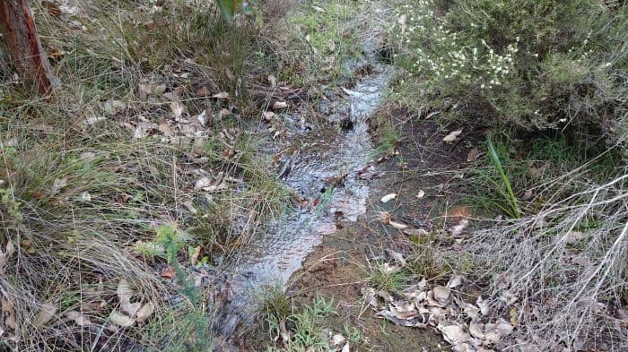 Lot 9 Chalwell Road, Nannup WA 6275, Nannup - Thumbnail 5