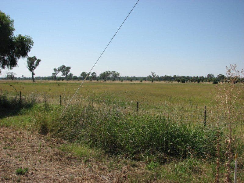Lot 763 Orange Road, FORBES NSW 2871, Forbes - Thumbnail 4