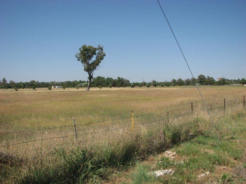 Lot 763 Orange Road, FORBES NSW 2871, Forbes - Thumbnail 6