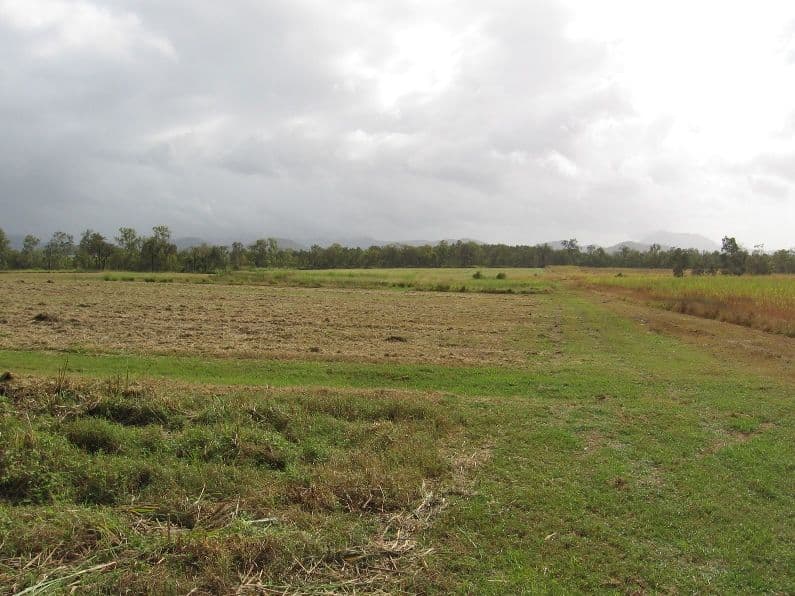 Lot 221 Luscombe Head Road, Septimus QLD 4754, Septimus - Thumbnail 4