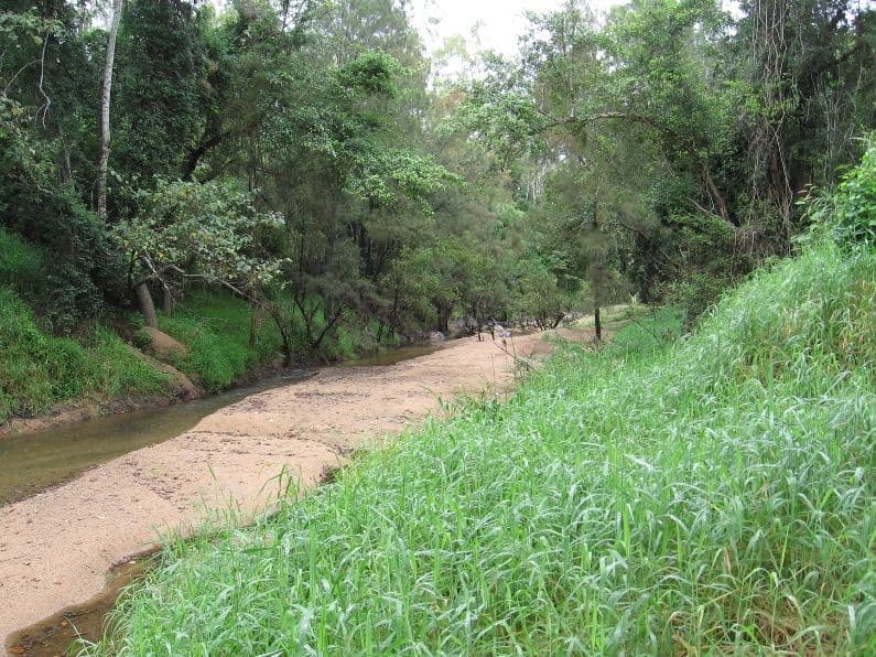 Lot 221 Luscombe Head Road, Septimus QLD 4754, Septimus - Thumbnail 3