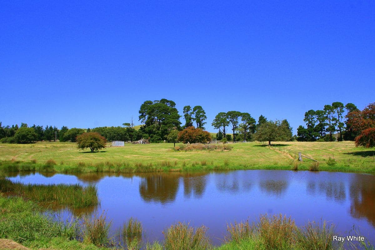 3 Nerriga Road, Braidwood NSW 2622, Braidwood - Image 1