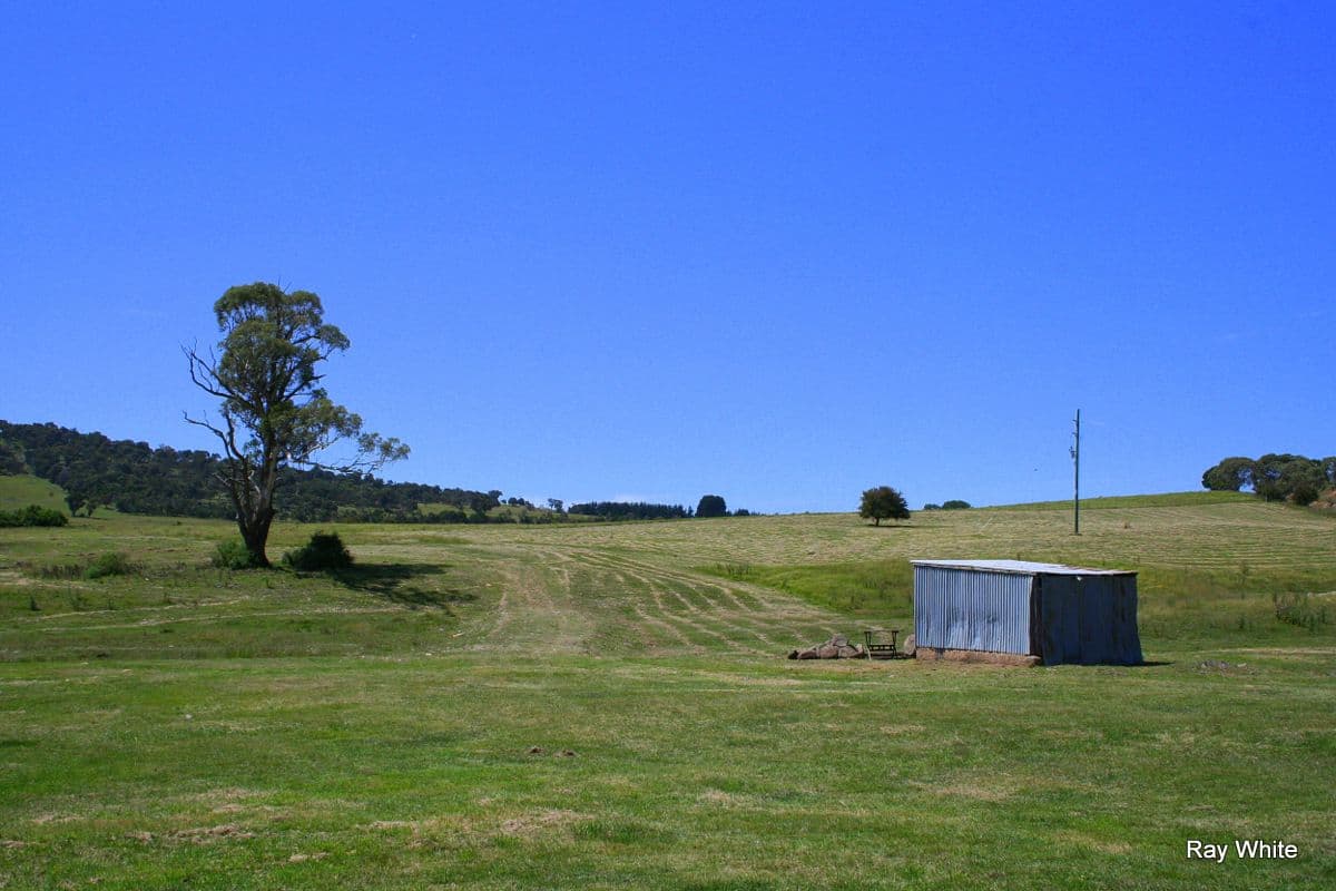 3 Nerriga Road, Braidwood NSW 2622, Braidwood - Thumbnail 7