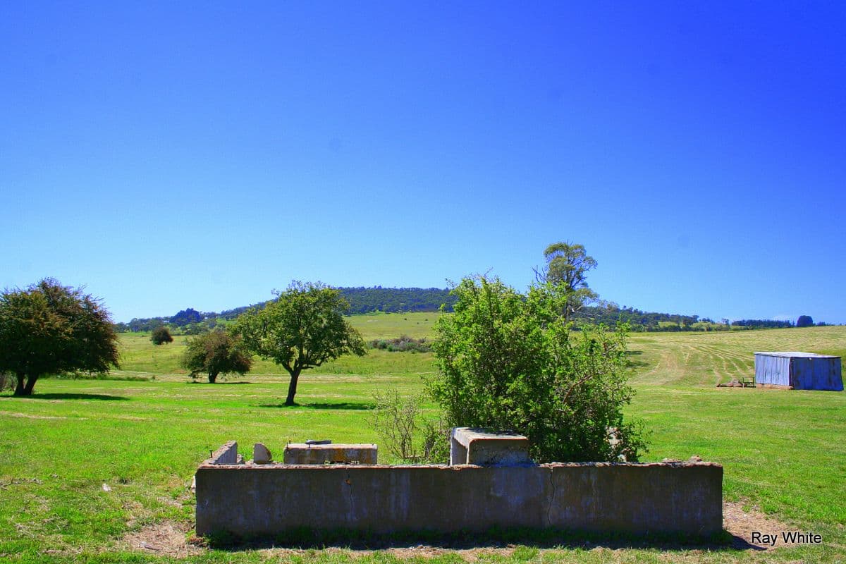 3 Nerriga Road, Braidwood NSW 2622, Braidwood - Thumbnail 2
