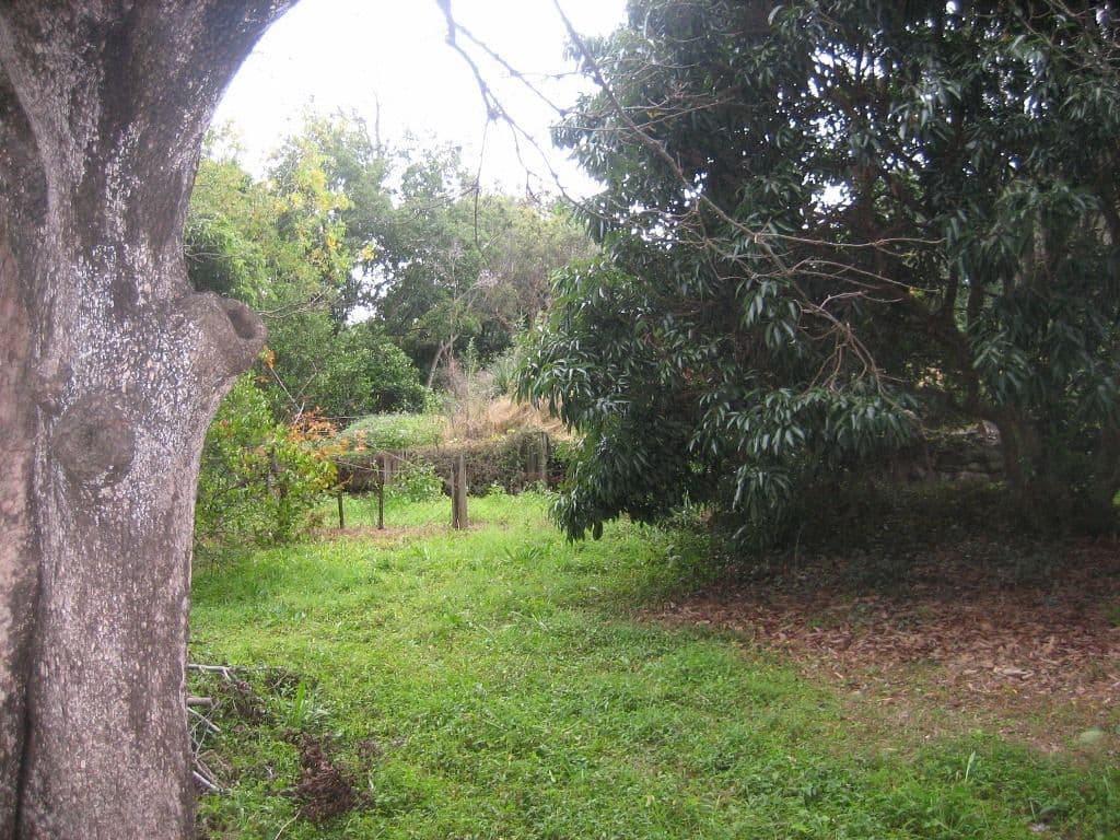 65 Dixon Street, SUNNYBANK QLD 4109, Sunnybank - Thumbnail 3