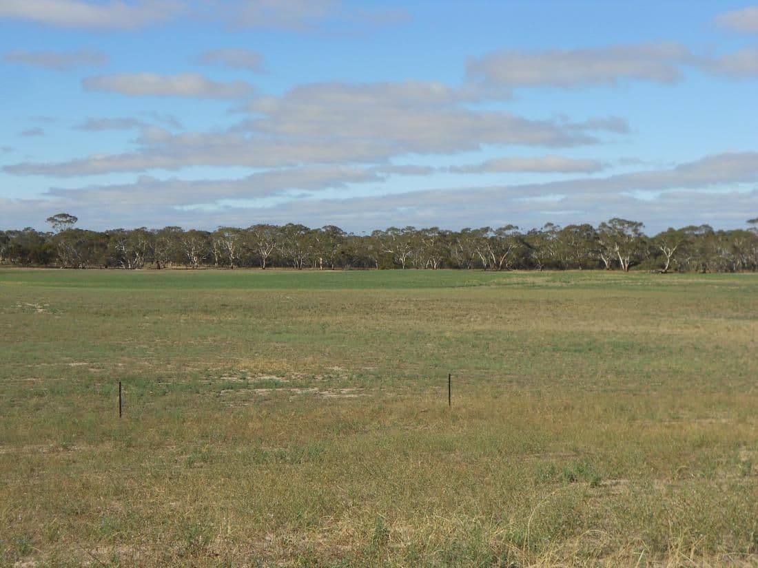 966 Pine Hill Road, Bordertown SA 5268, Bordertown - Thumbnail 2