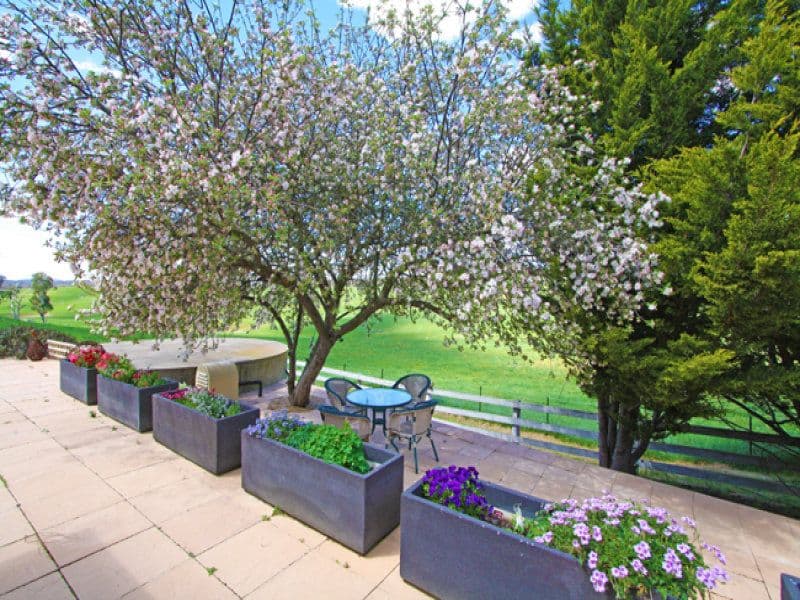 83 Neils Creek Road, Bungendore NSW 2621, Bungendore - Thumbnail 6