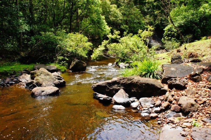 376A Arthur Road, DORROUGHBY NSW 2480, Dorroughby - Thumbnail 6