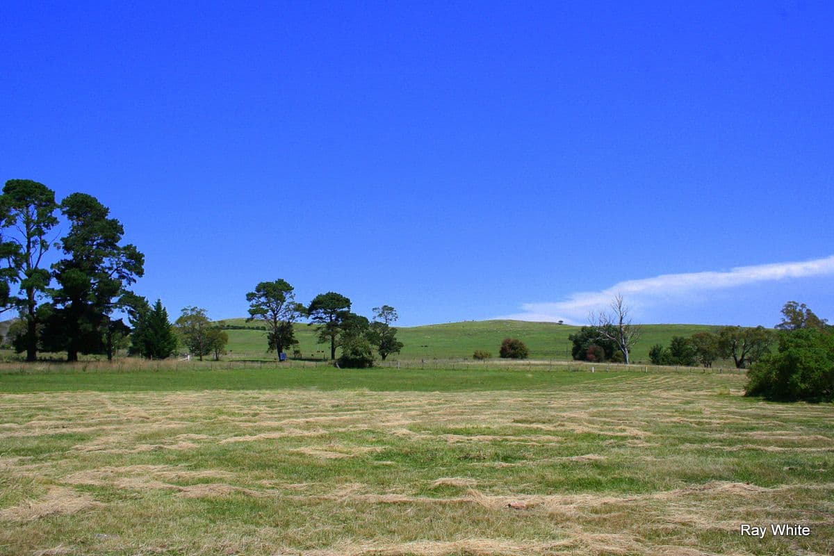 2 Nerriga Road, Braidwood NSW 2622, Braidwood - Thumbnail 3