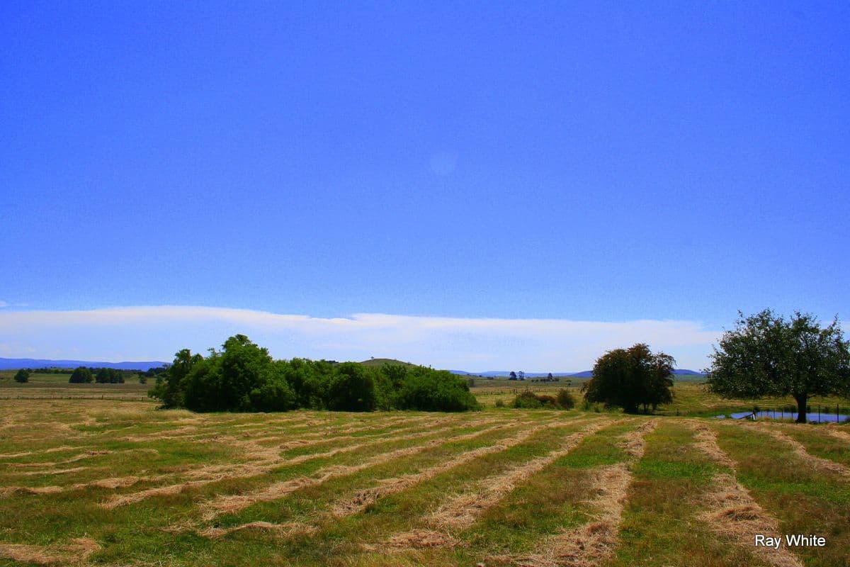 2 Nerriga Road, Braidwood NSW 2622, Braidwood - Thumbnail 4