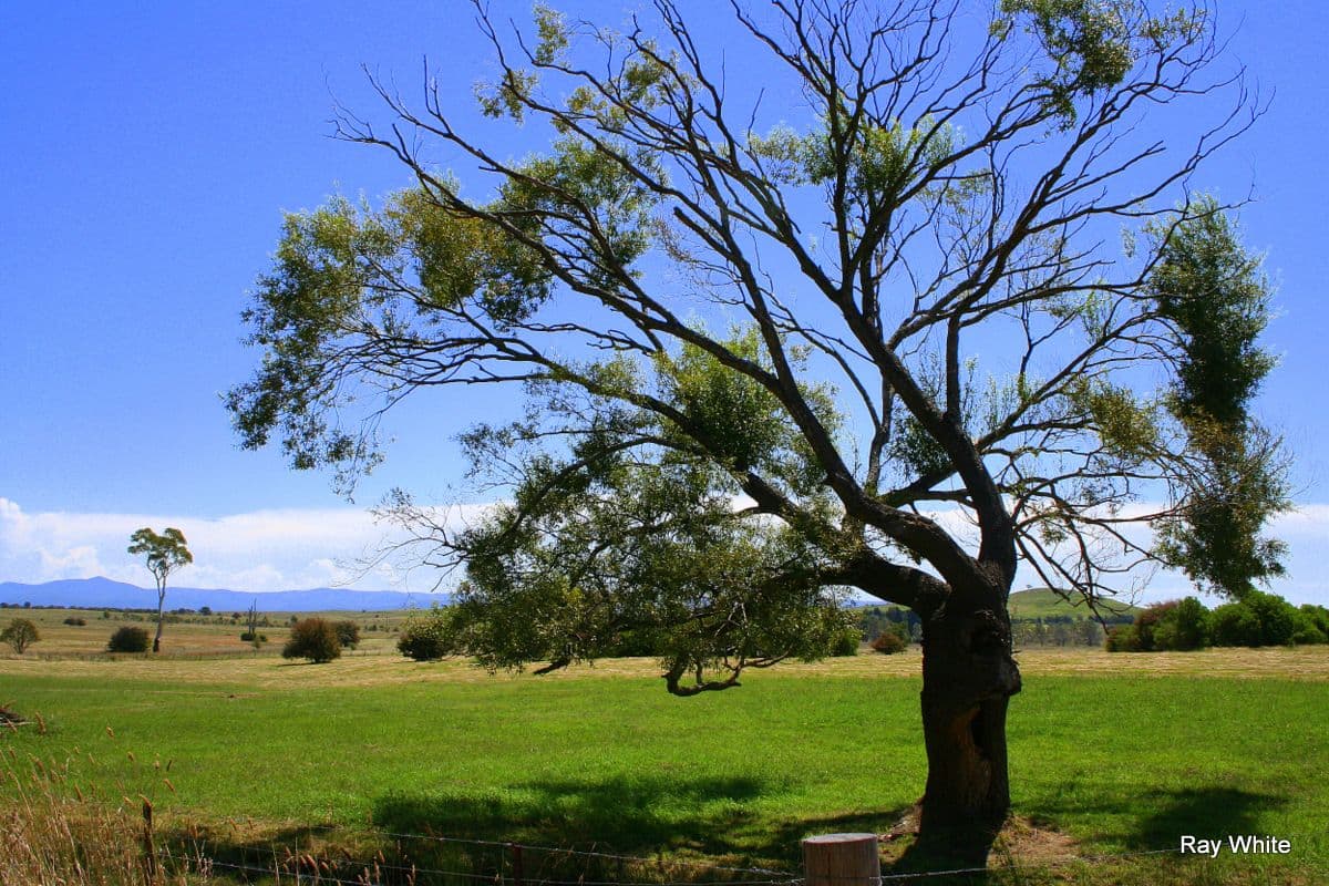 2 Nerriga Road, Braidwood NSW 2622, Braidwood - Image 1