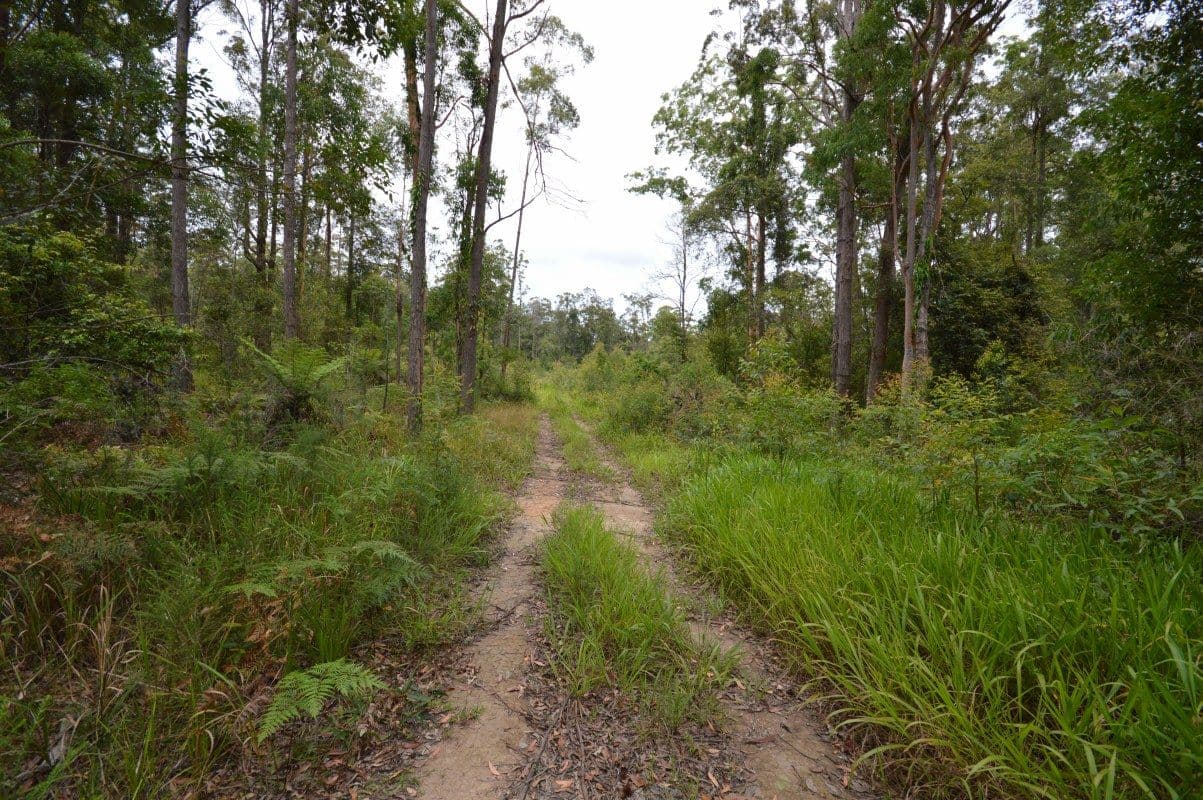 Lot 27 Bucca Road, LOWER BUCCA NSW 2450, Bucca - Thumbnail 4