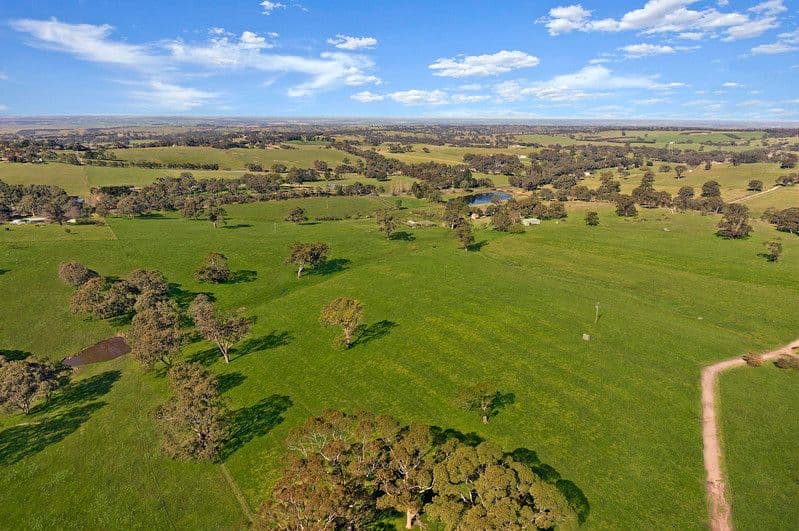 Lot 101 Frampton Road, Mount Barker SA 5251, Mount Barker - Image 1