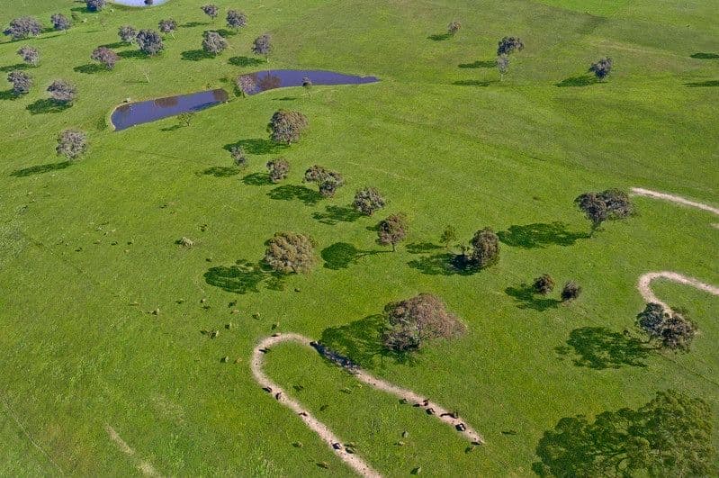 Lot 101 Frampton Road, Mount Barker SA 5251, Mount Barker - Thumbnail 3