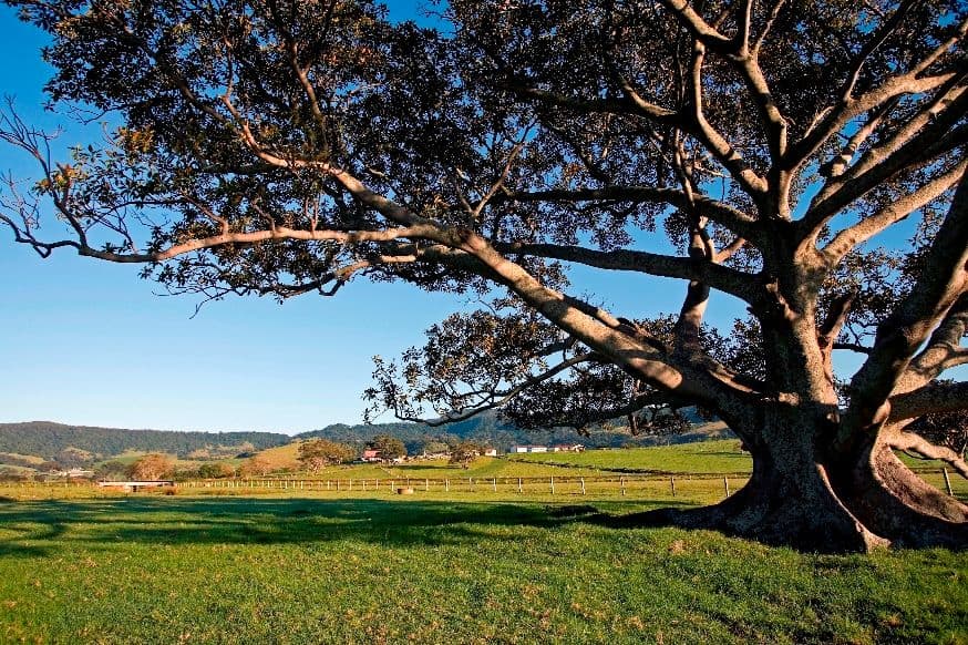 Lot 206 Princes Highway, Gerringong NSW 2534, Gerringong - Thumbnail 7