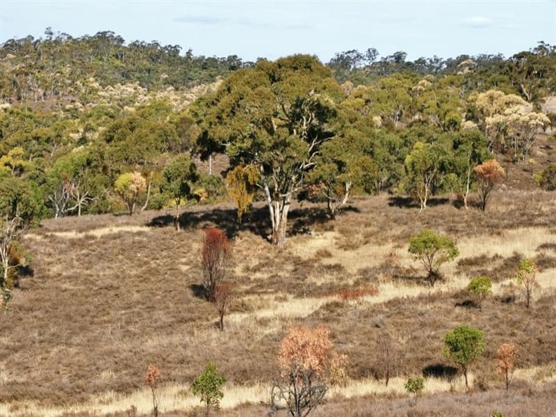 Lot 602 Leighton Road, Spring Gully SA 5453, Spring Gully - Thumbnail 4