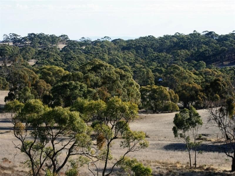 Lot 602 Leighton Road, Spring Gully SA 5453, Spring Gully - Thumbnail 8
