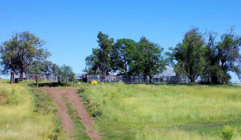 493 Rocky Springs Road, INVERELL NSW 2360, Inverell - Thumbnail 5