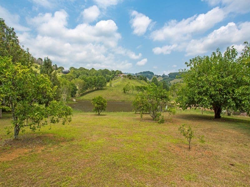 367 Cobaki Road, Cobaki NSW 2486, Cobaki - Thumbnail 5