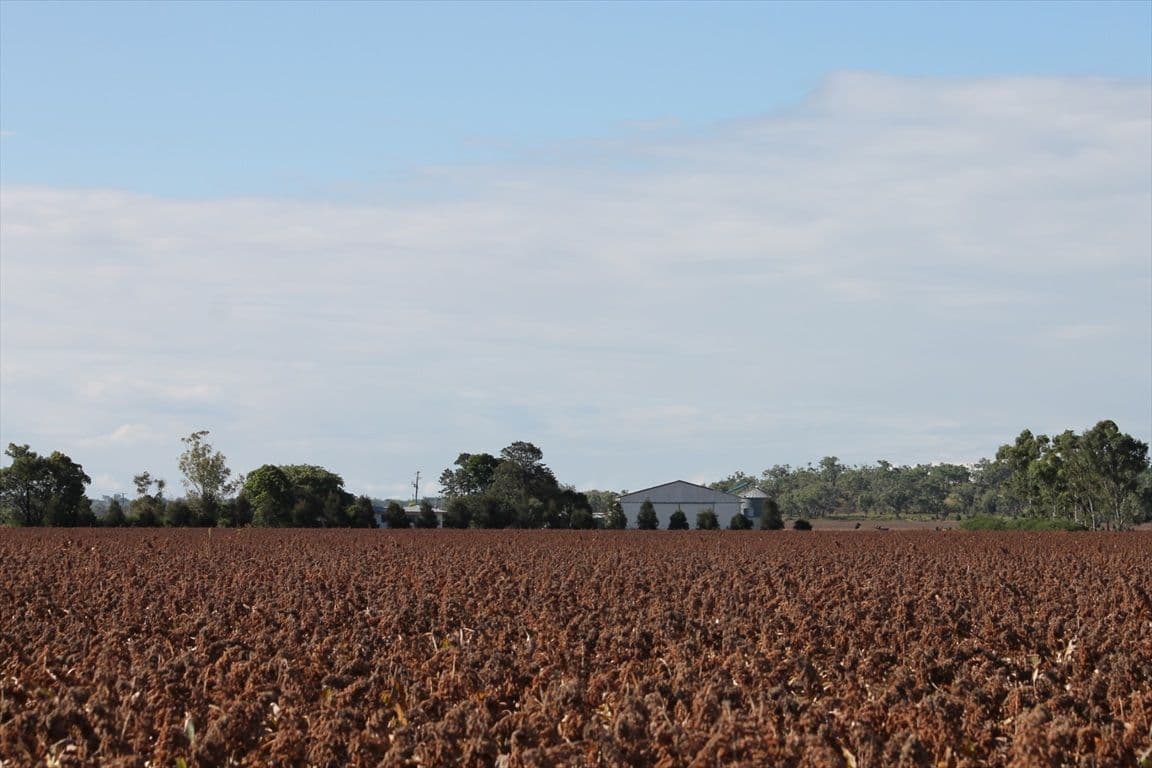 Dalby QLD 4405, Dalby - Image 1