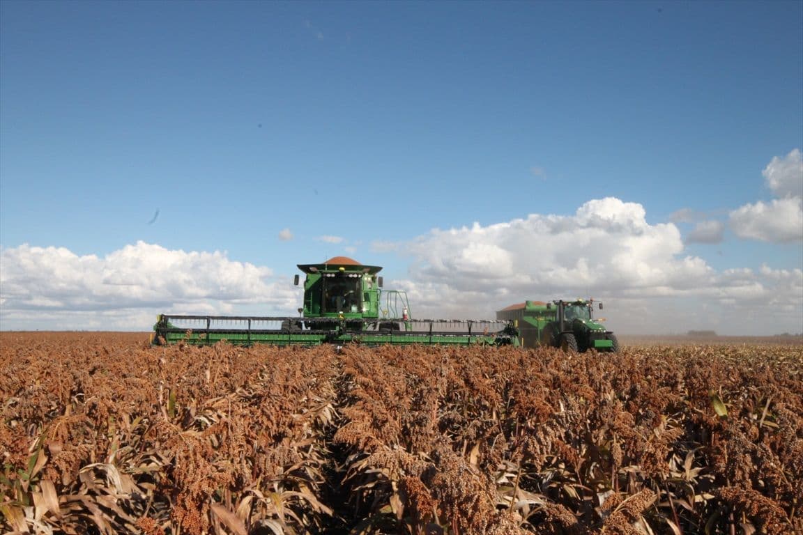 Dalby QLD 4405, Dalby - Thumbnail 4