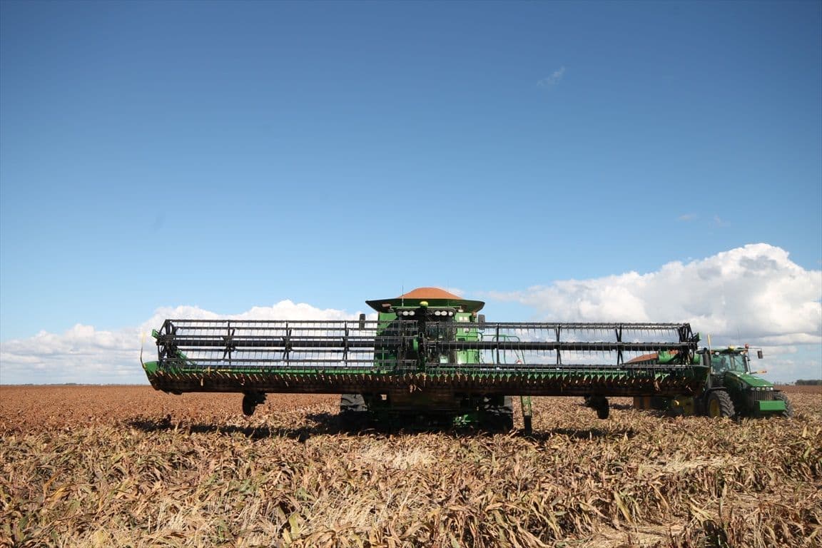 Dalby QLD 4405, Dalby - Thumbnail 5