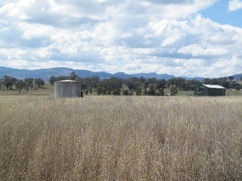 55 Annie's Lane, Quirindi NSW 2343, Quirindi - Thumbnail 3
