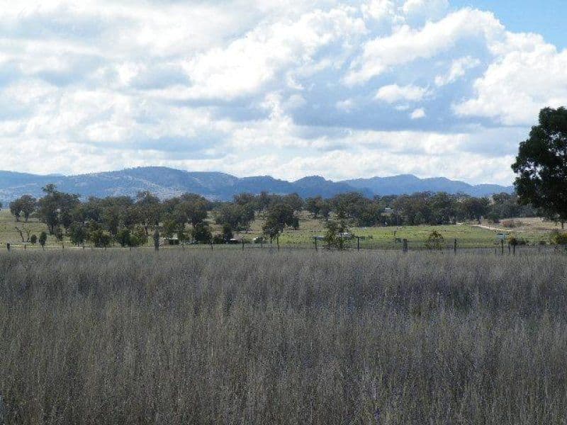55 Annie's Lane, Quirindi NSW 2343, Quirindi - Thumbnail 4