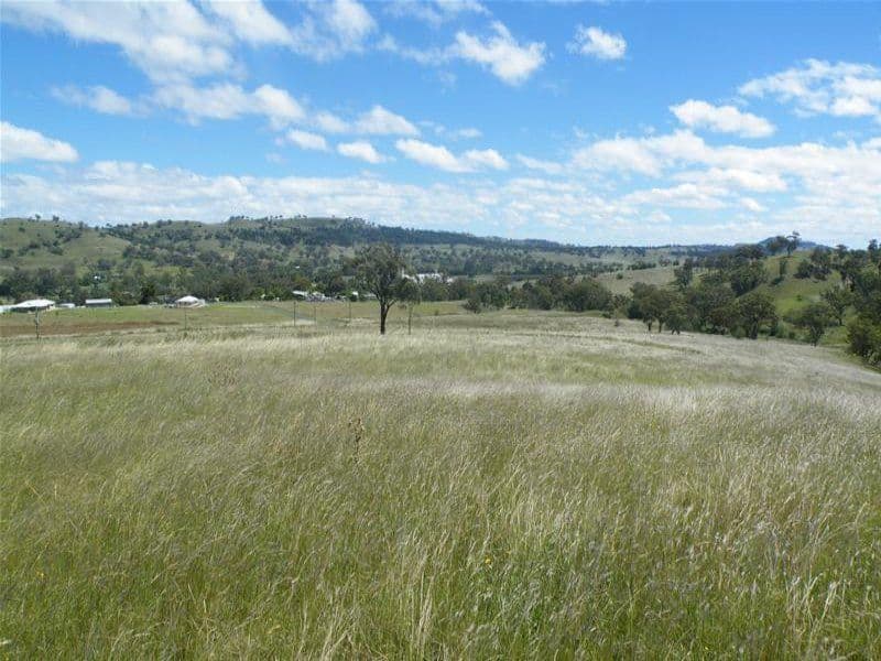 7 Raphie Howard Drive, Willow Tree NSW 2339, Willow Tree - Image 1