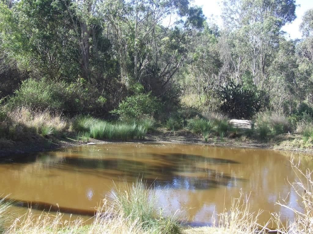 159 Voll Road, CROWS NEST QLD 4355, Crows Nest - Thumbnail 3