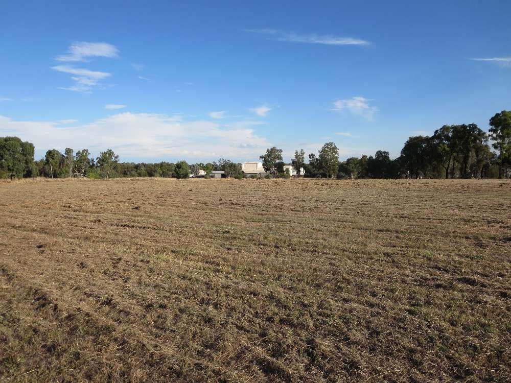 38 Hoffman Road, THURGOONA NSW 2640, Thurgoona - Image 1