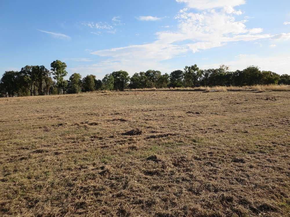 38 Hoffman Road, THURGOONA NSW 2640, Thurgoona - Thumbnail 2