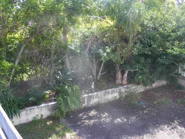 19 Surman Street, Loganlea QLD 4131, Loganlea - Thumbnail 7
