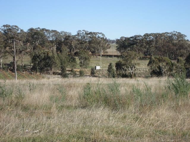 878 Boundary Road, Young NSW 2594, Young - Thumbnail 3