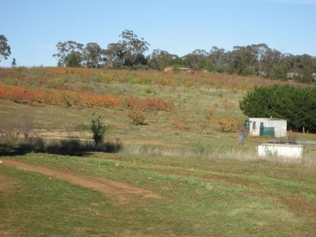 878 Boundary Road, Young NSW 2594, Young - Image 1